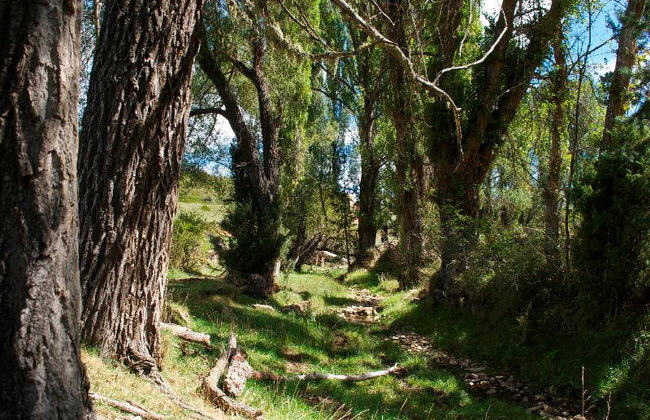 Apartamentos Rurales Sierra de Gúdar - Foto 43