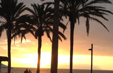 Ocean Park II - Foto 31