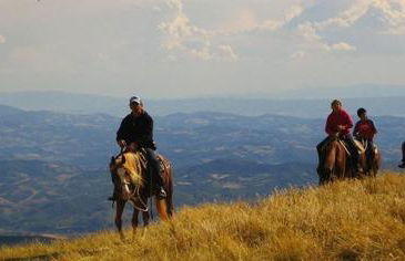 appartamento Colticciola Agriturismo Marche - Foto 38