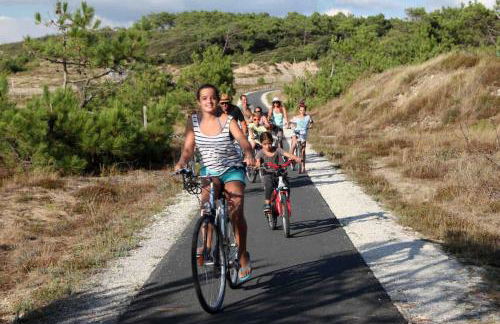 Ma cabane sous les arbres - Foto 65