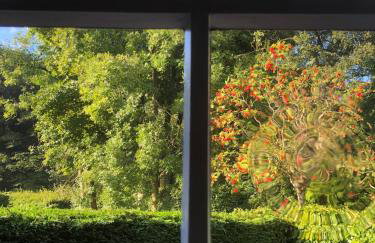 Meldrums Apartments - Photo 71