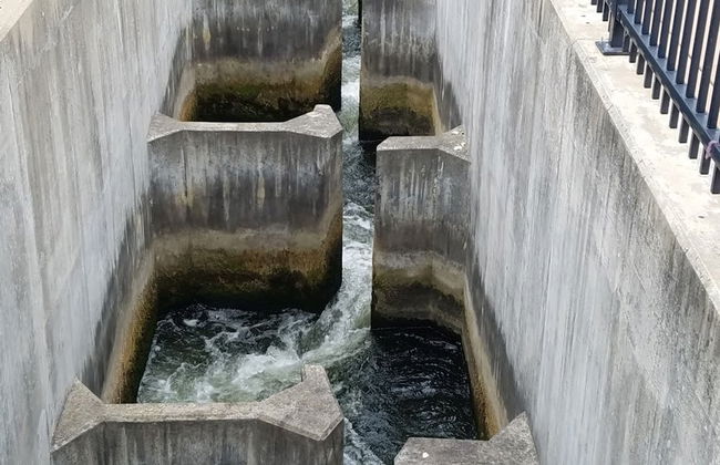 The Chicken Coop a Modern Riverfront Oasis 908 - Foto 19