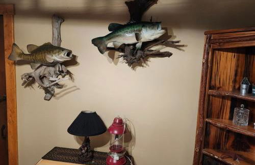 Pet Friendly Creekside Cabin Kooser St Park - Foto 10