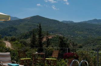 Citrea Villa - Photo 35