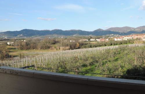 Il Chicco apartment - Foto 29