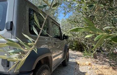 Giasemi Island House - Foto 33