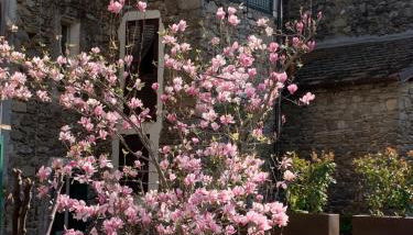 Vicolo Rosso 2 - Foto 2