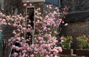 Vicolo Rosso 2 - Foto 2