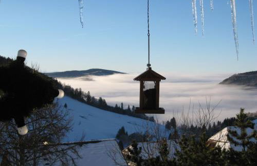 Schöne Aussicht - Foto 45