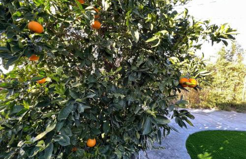 Modern 4 King Beds, Beautiful Large Backyard, Golf, WFH, Long Stays, WI-FI, FWY, 25 mins to Beach - Photo 51