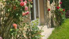 Petit gite de Provence - Foto 2, Garden, Garden view