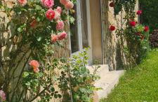 Petit gite de Provence - Foto 2