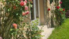 Petit gite de Provence - Foto 1, Garden, Garden view