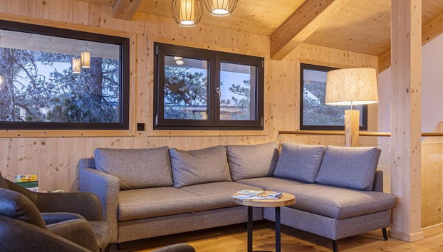 Superior Chalet With Sauna and hot tub - Foto 5, Zona de estar