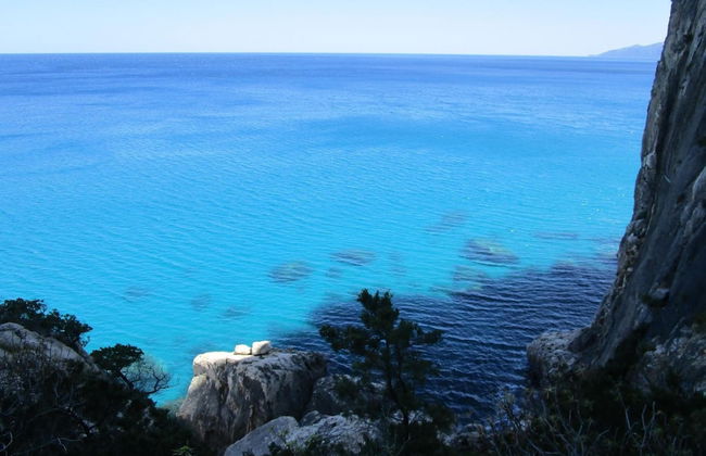 Agriturismo Su Tiresi - Foto 53