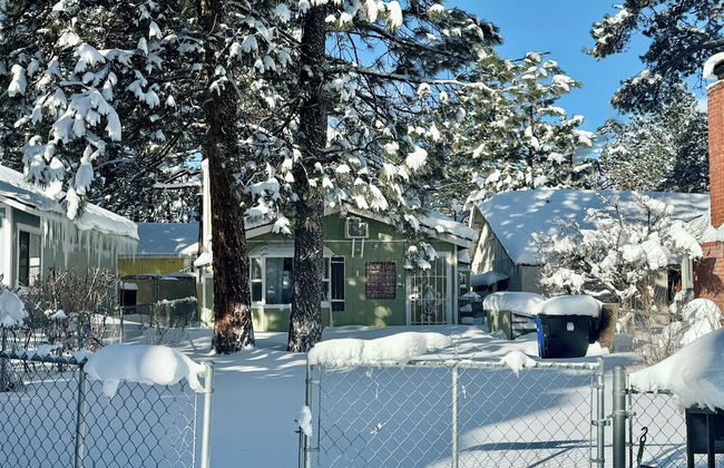 A Beary Cute Cabin - Photo 8