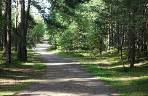 Domek Letniskowy Grażyna - Foto 51