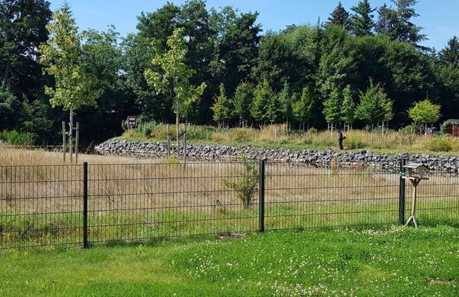 Beaver Modern Retreat - Foto 10