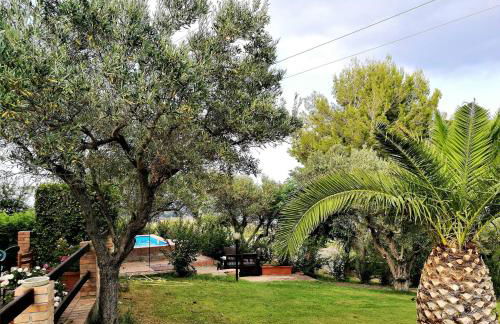 Residence Cassiodoro - Photo 26