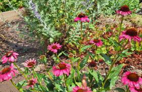 Ferienhaus Hinterlandswald - Foto 42