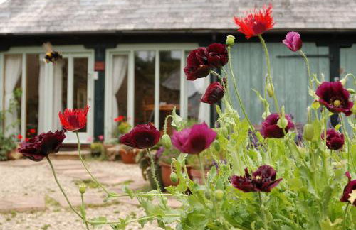 Bowgie at Trewerry Cottages - Away from it all, close to everywhere - Foto 3