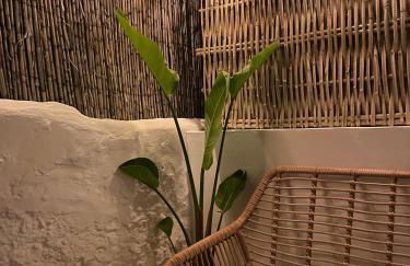 CASA MÚA - Photo 55