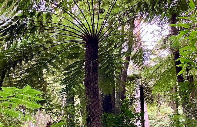 Wildside Sanctuary - Foto 50