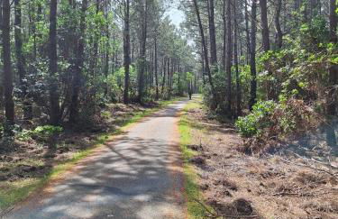L'atelier, chalet proche lac et océan à Hourtin - Foto 19