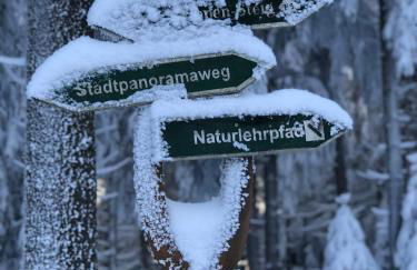 Zur alten Fabrik - Photo 39