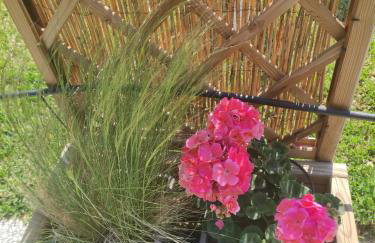 Σοφίτα Μαρτά - Foto 56