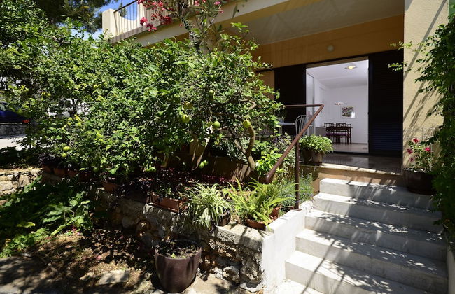 Apartments Denise Podgora - Photo 2