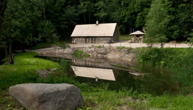 Vilnius Forest Private Sauna Experience - Foto 2