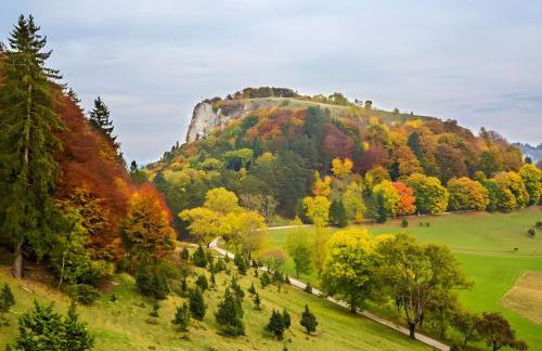 Ferienwohnung Zur Alten Scheune - Photo 23