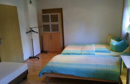 Ferienwohnung Steinwald Ausläufer mit Blick auf Kösseine - Foto 5