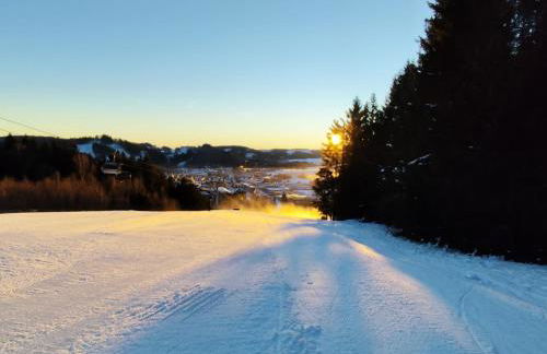 YALET Ferienhaus 2 appartementen vlakbij Willingen - Foto 78