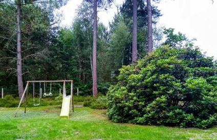 Gite meublé avec étang en lisière de forêt. - Photo 10