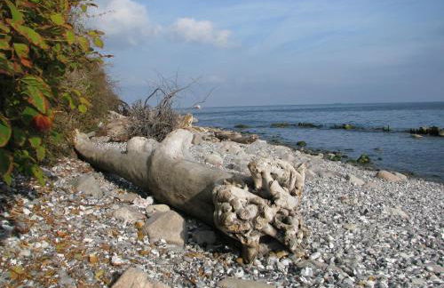 Ferienwohnung 2 bei Familie Saupe - Foto 27