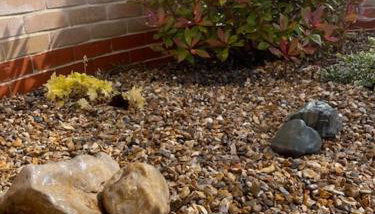 Tranquil 2-Bed Bungalow Near to Southwold - Foto 5, Garden