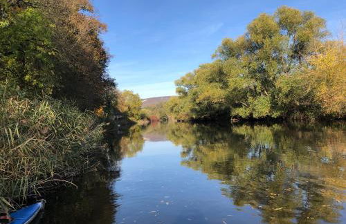 Wehrmietung - Foto 20