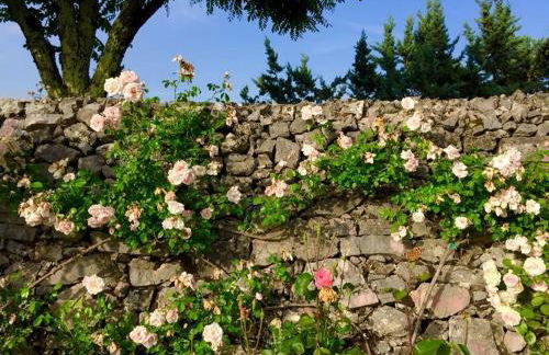 Villa Colletto - Foto 20