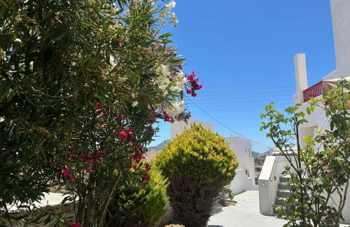 Solid Residence - Foto 12