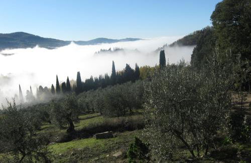 Villa di Campolungo Agriturismo - Foto 28