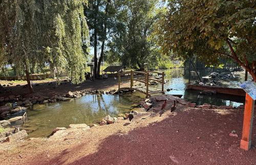 Chaleureuse annexe contemporaine - Foto 14