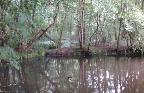 Holiday Home Itzinger by Interhome - Foto 21