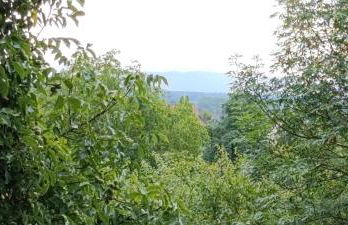 Locations Vacances Obernai Studio - Foto 40