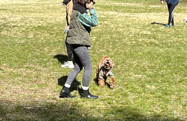 Sakurashimizu Cottage - Foto 13