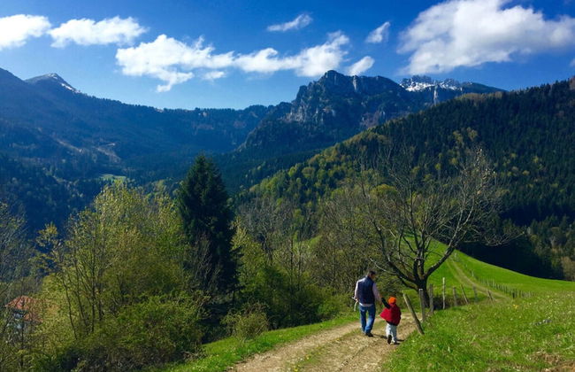 Villa Carefree Suite - Foto 8