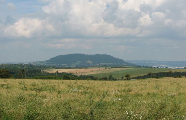 Brauer Modern Retreat - Foto 11