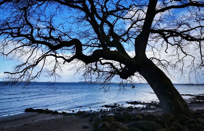 My Baltic Sea Place House by the sea 9 - Foto 27