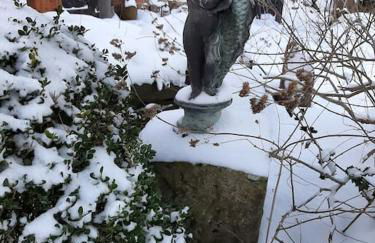 Ferienhaus Rosengarten - Foto 3